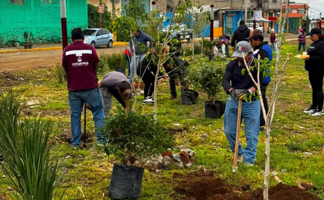 En Nezahualcóyotl se coordinó la siembra de 1,500 árboles de especies como fresnos y truenos dentro de este espacio deportivo. Foto Especial