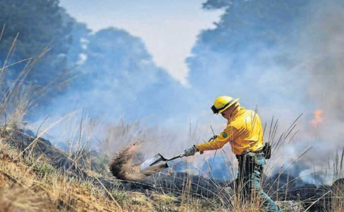 Edomex: Probosque reporta mil 200 incendios forestales en 2024