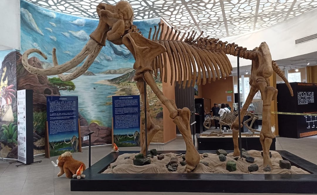 El Museo "Diego A. Huanitzin" resguarda un acervo de 171 piezas que narran la historia de Ecatepec desde el Pleistoceno. Foto Especial