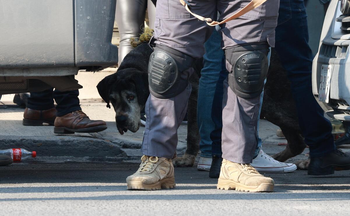 Cae el responsable: Prisión preventiva por maltrato animal en Mexicaltzingo