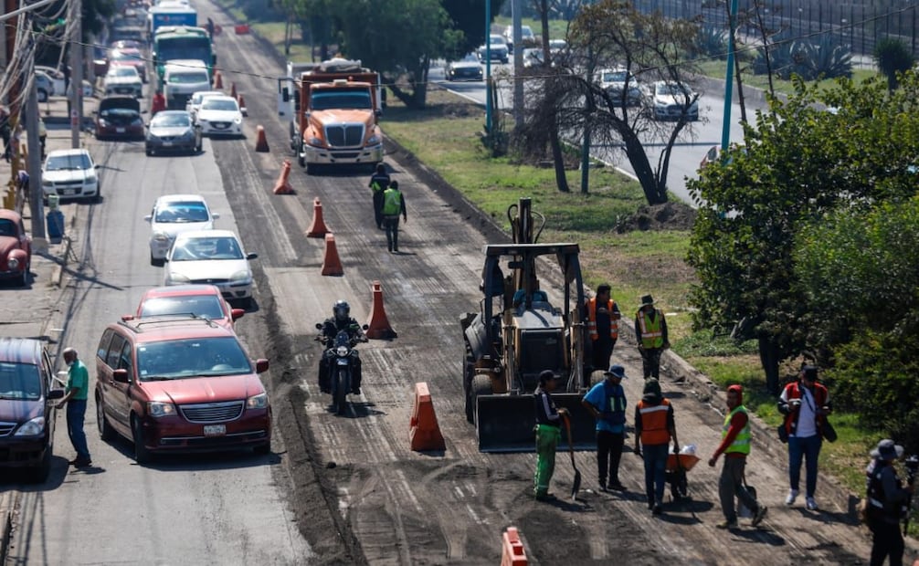 Los huertos urbanos buscan mitigar el efecto de "isla de calor" en uno de los municipios más densamente poblados del país. Foto Especial