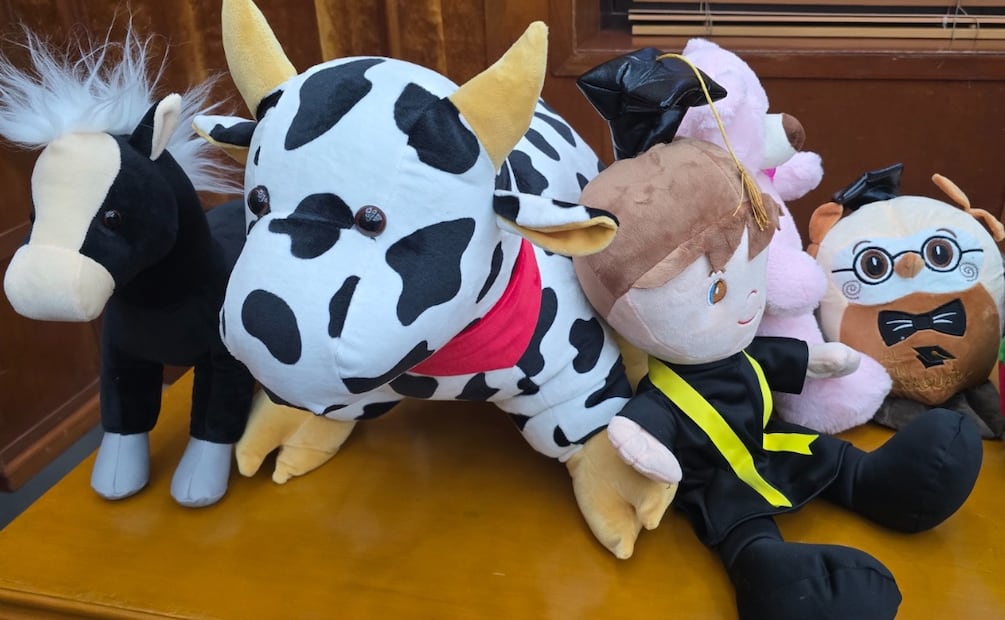 El patronaje y diseño digital forman parte de los saberes tradicionales que dan vida a los famosos peluches de Xonacatlán. Foto Alma Rodríguez / El Universal