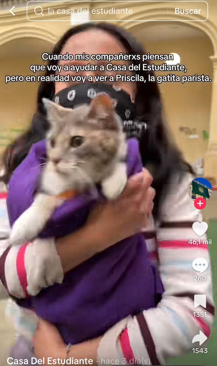 Priscila, “la gatita parista” / Foto Especial