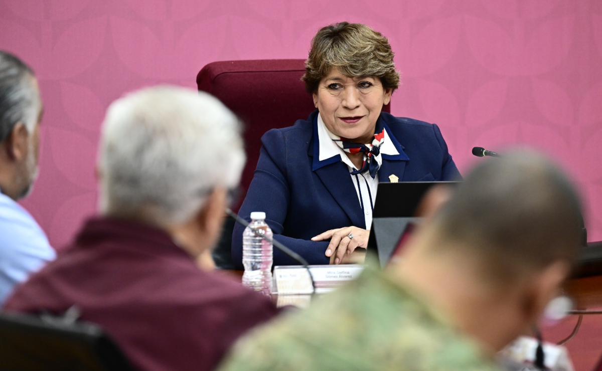 ¡Dale una patita a la adopción! 44 lomitos necesitan un hogar en el Edomex