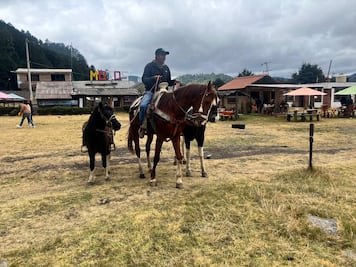 Escapa a La Marquesa: ¡Naturaleza, adrenalina y delicias culinarias te esperan!