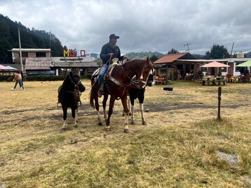Escapa a La Marquesa: ¡Naturaleza, adrenalina y delicias culinarias te esperan!