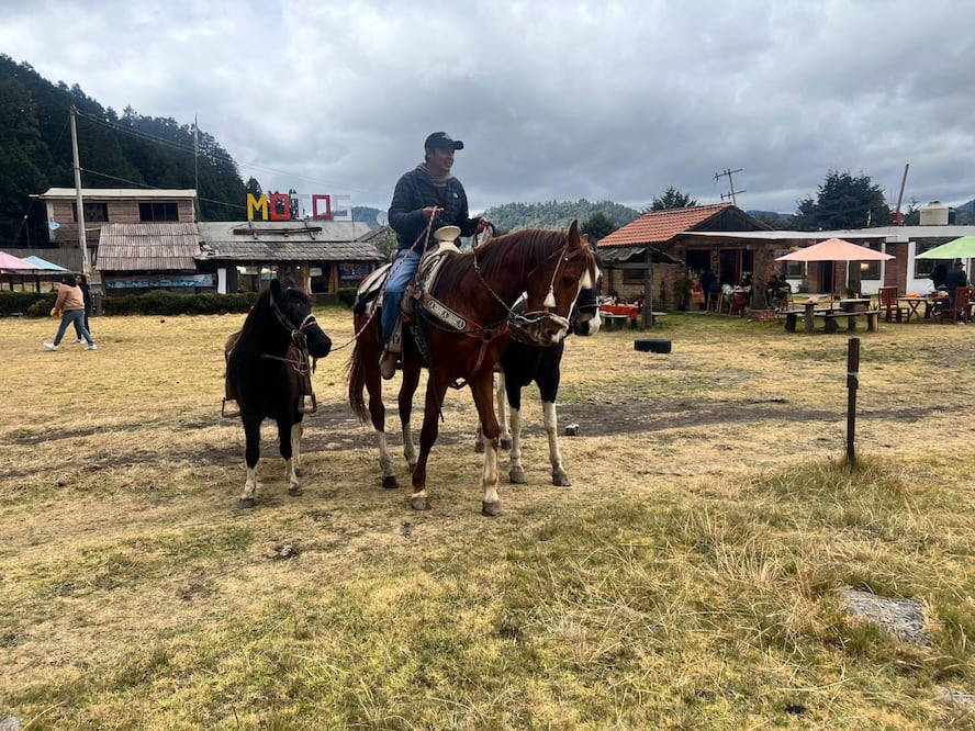 La Marquesa ofrece una amplia variedad de actividades para todos los gustos. ¡Ven y descubre todo lo que tiene para ofrecerte!". Foto Alejandro Vargas
