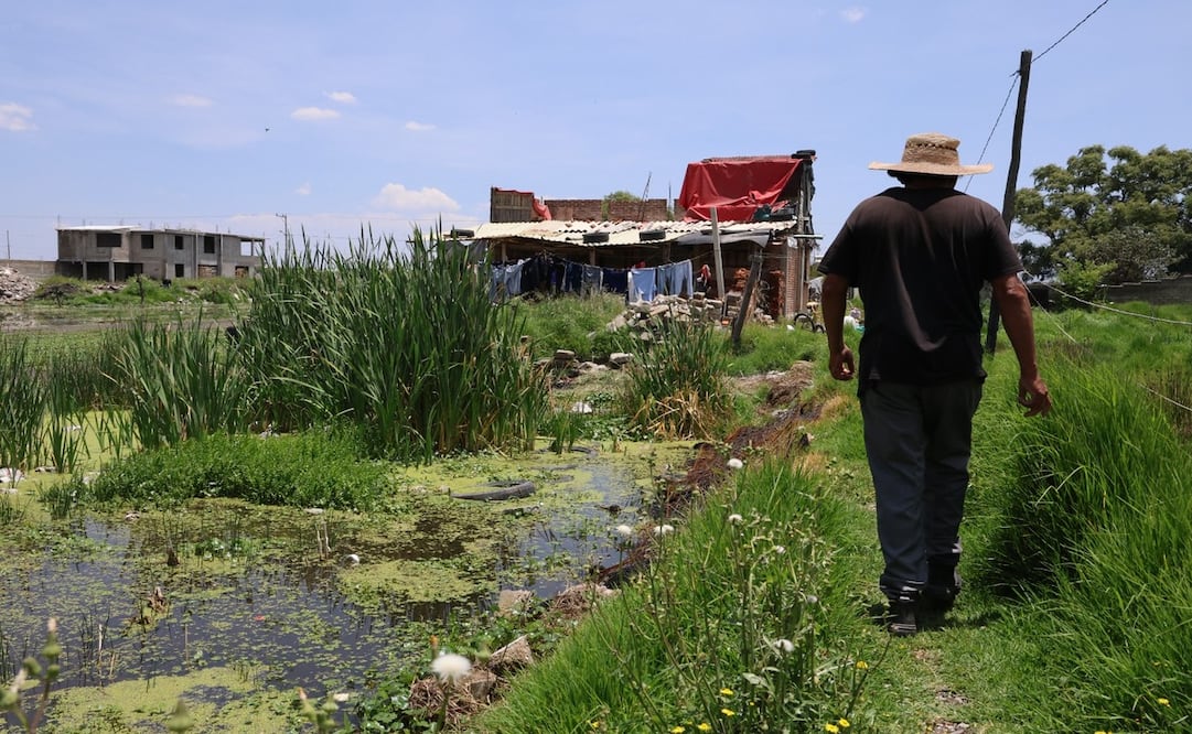 El canal Insurgente que transporta aguas residuales y se encuentra en una zona densamente habitada, representa un foco de peligro / Foto: Sergio García