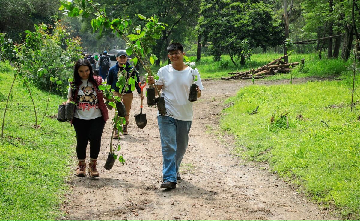 ¡Naucalpan revitaliza sus pulmones verdes!: Reforestan parques de la Hoja y Villa Alpina