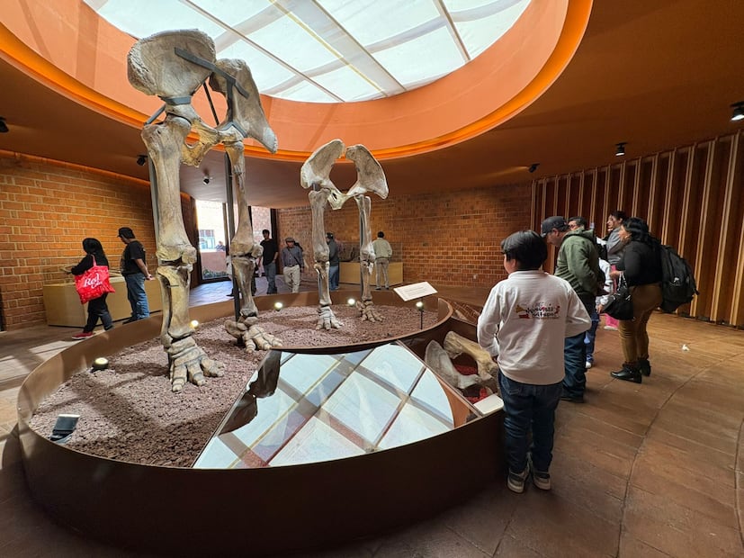 El museo abrirá sus puertas de martes a domingo de 9:00 a 18:00 horas. Foto. Especial