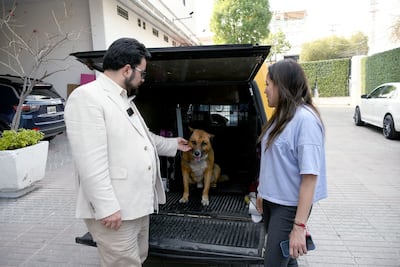 Rescatan a "Lobito" en Naucalpan tras maltrato en San Lorenzo Totolinga; el agresor ya fue denunciado