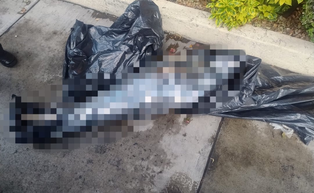 Personal de la Fiscalía mexiquense determinarla la identidad de la víctima y las causas de la muerte. Foto. Especial