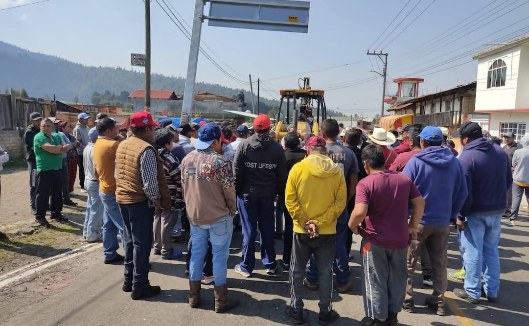 Pobladores de la zona exigen acciones inmediatas contra la tala a los gobiernos estatal, federal y municipal. Foto. Especial
