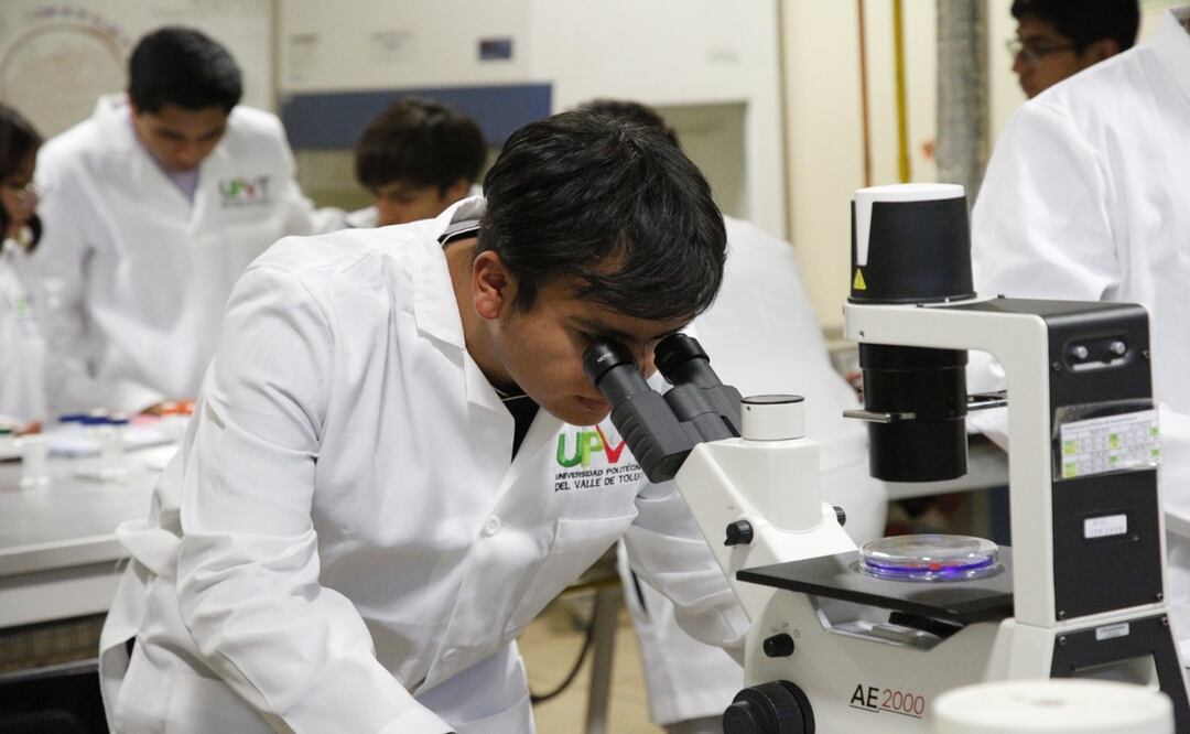 El apoyo monetario de 800 pesos mensuales será a los estudiantes de instituciones públicas de Educación Superior. Foto: Especial