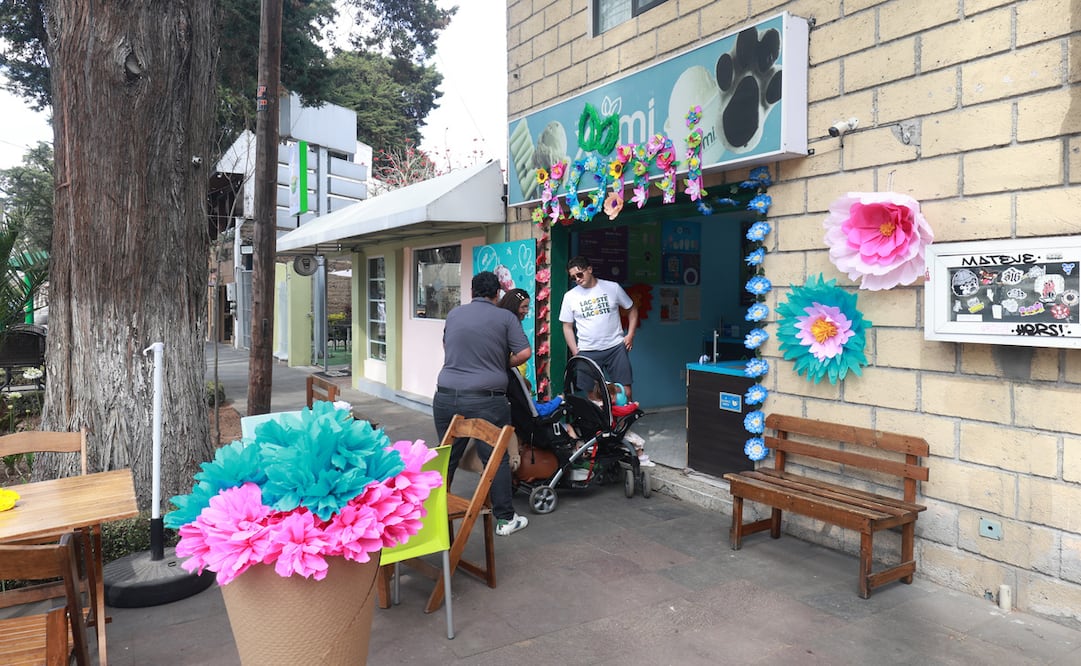 Del 20 al 22 de marzo se lleva a cabo el Festival de las Flores en Colón, una de las avenidas emblemáticas de la capital mexiquense. Foto: Alejandro Vargas