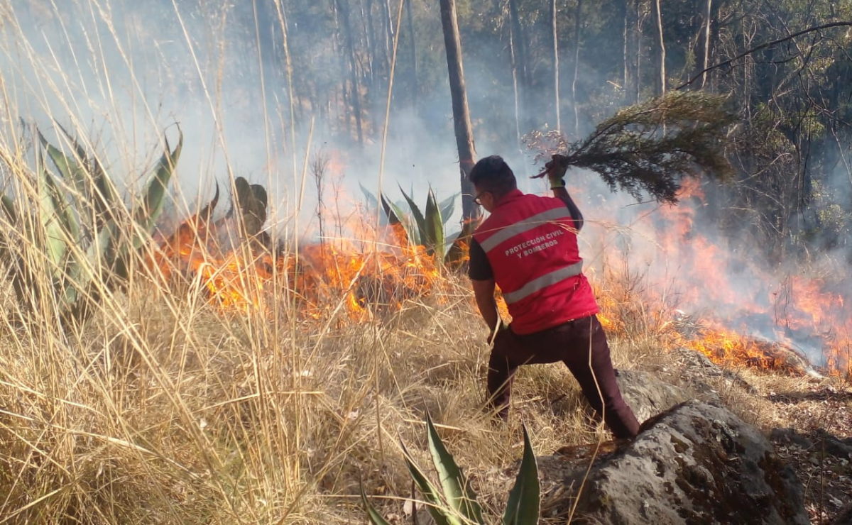 El trabajo coordinado de los cuerpos de emergencia logró controlar el incendio en el cerro de La Teresona Foto: Especial