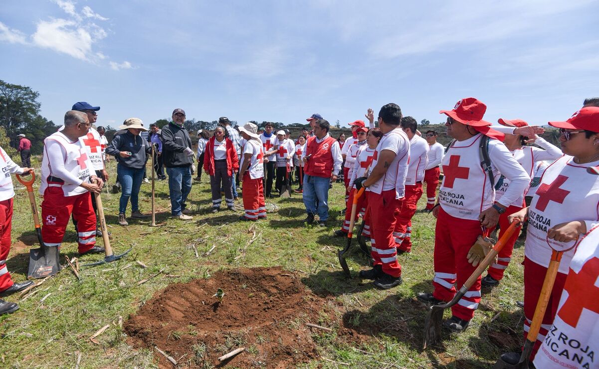 El compromiso de Probosque y Cruz Roja en Temoaya se materializa con la aplicación de más de 30 técnicas de restauración de suelos / Foto: Especial