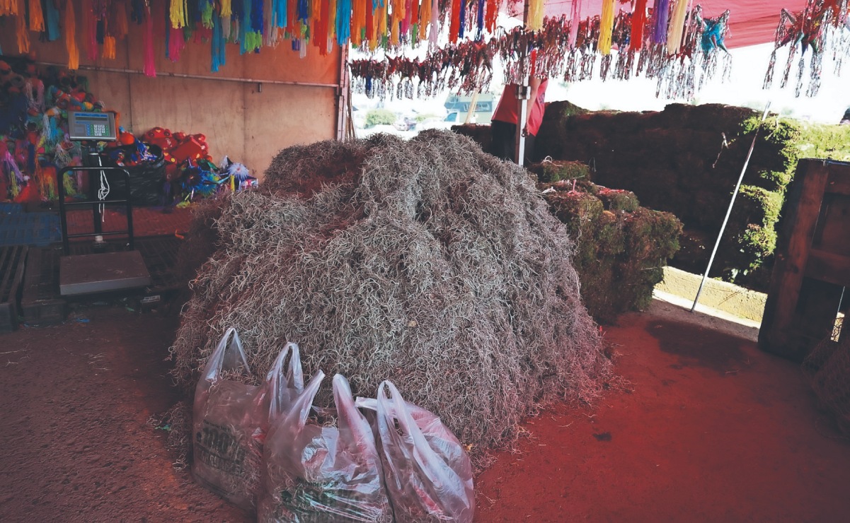 La extracción ilegal del heno contribuye al deterioro de las zonas verdes. Foto: Alejandro Vargas