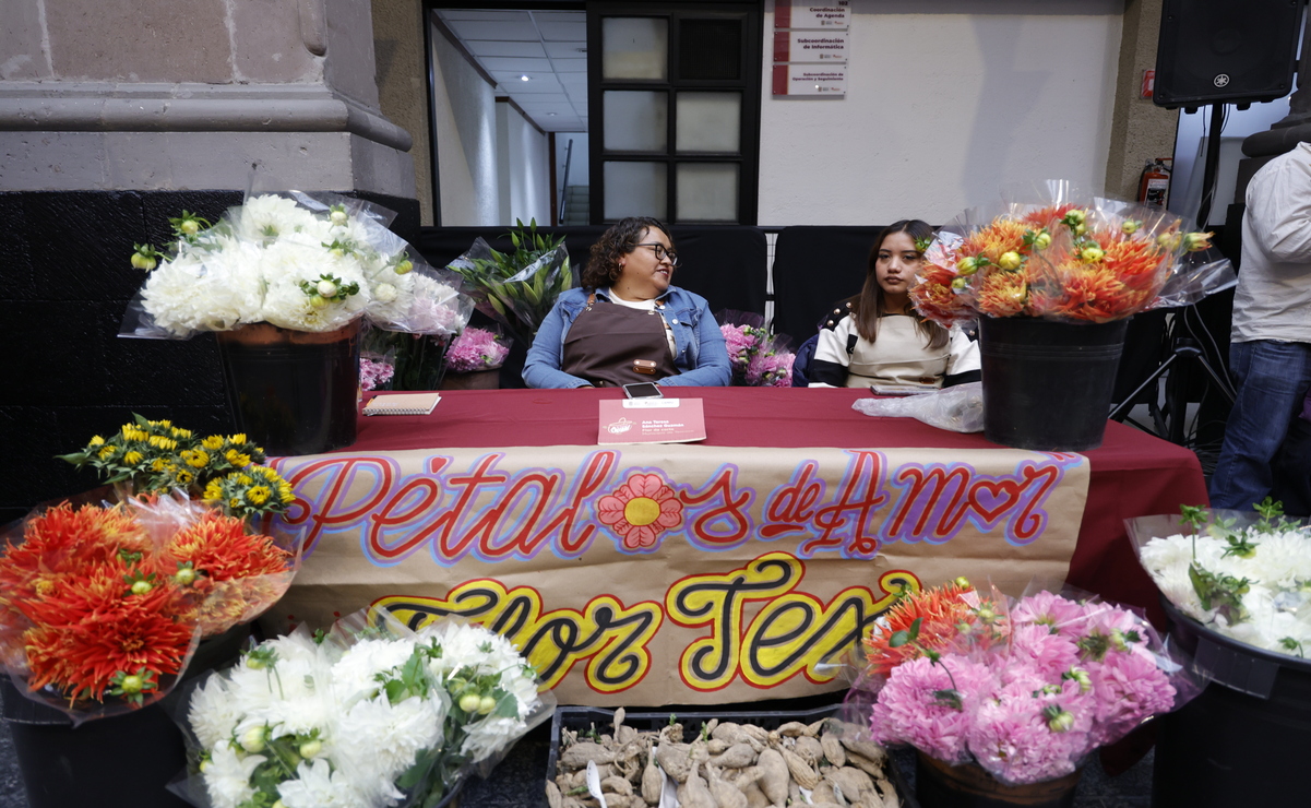 Las personas beneficiarias podrán recibir asesorías empresariales / Foto: Especial