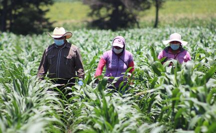 Concaem advierte sobre retos para integrar a migrantes repatriados en el mercado laboral