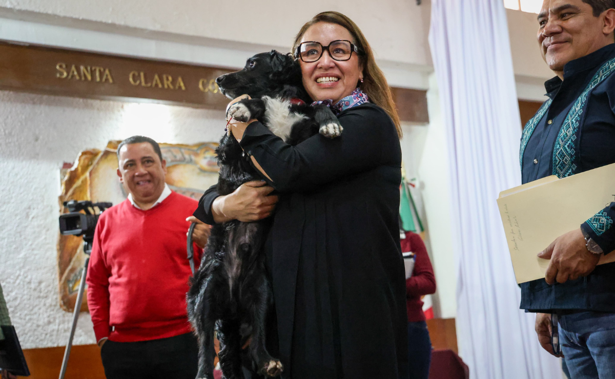 "Cambio por Honestidad" (CH), el perrito rescatado por la alcaldesa Azucena Cisneros Coss Foto: Luis Camacho