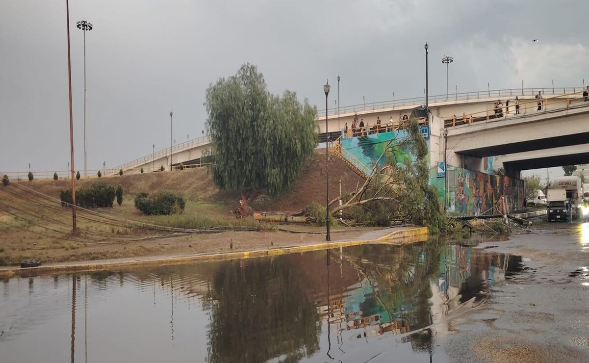 Las autoridades llegaron al sitio para retirar los cables / Foto: Especial