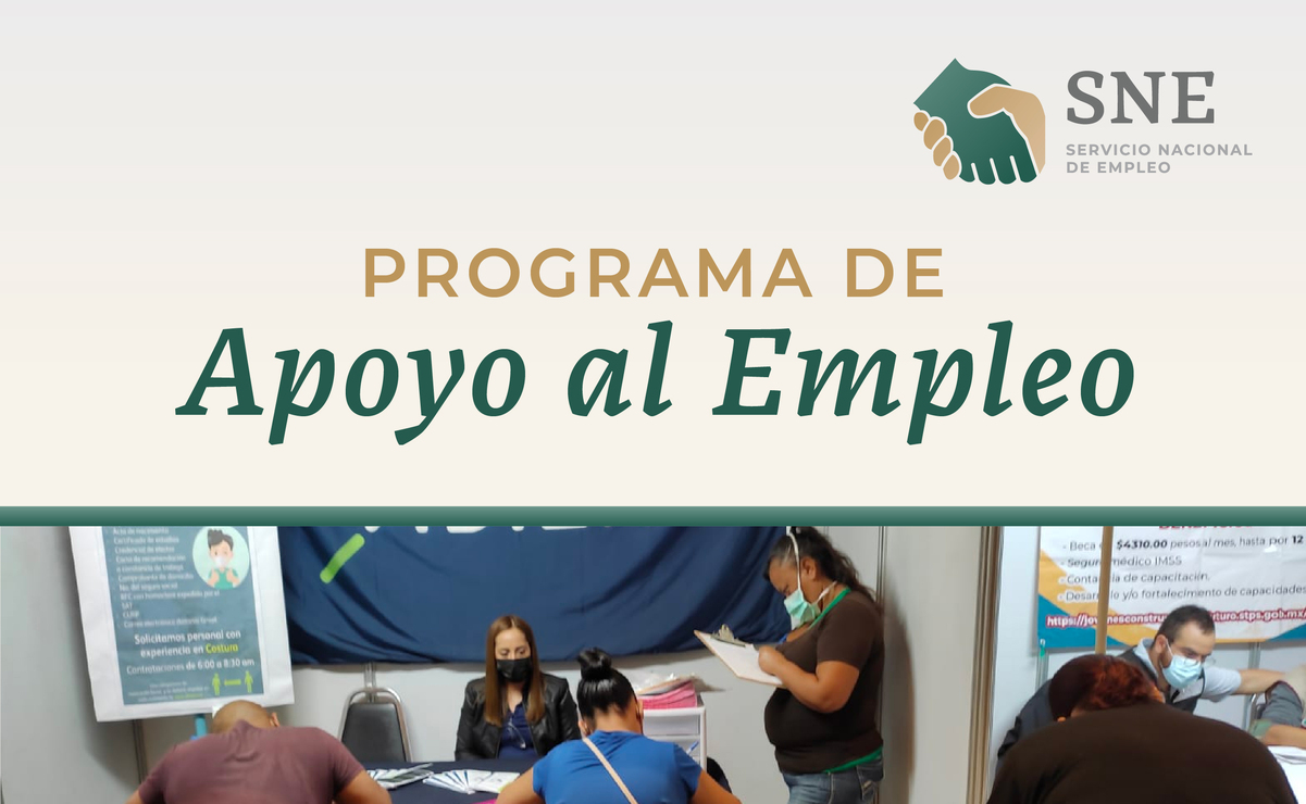 El programa tendrá un presupuesto de 313,3 millones de pesos, es decir un 374% más respecto a 2024. Foto: Gobierno de México