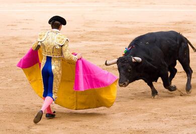 ¡Olé! a las prioridades: Congreso del Edomex no prevé impulsar iniciativa para legislar la tauromaquia