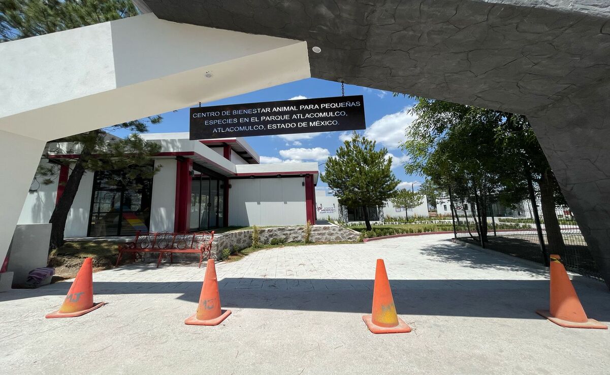 El proyecto fue anunciado para atender el problema del abandono y maltrato animal en la región norte mexiquense. Foto: Michelle Sánchez / El Universal Estado de México
