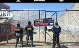 ¡Otro golpe al robo de transporte de carga! Recuperan tractocamión y mercancía con valor de 4mdp