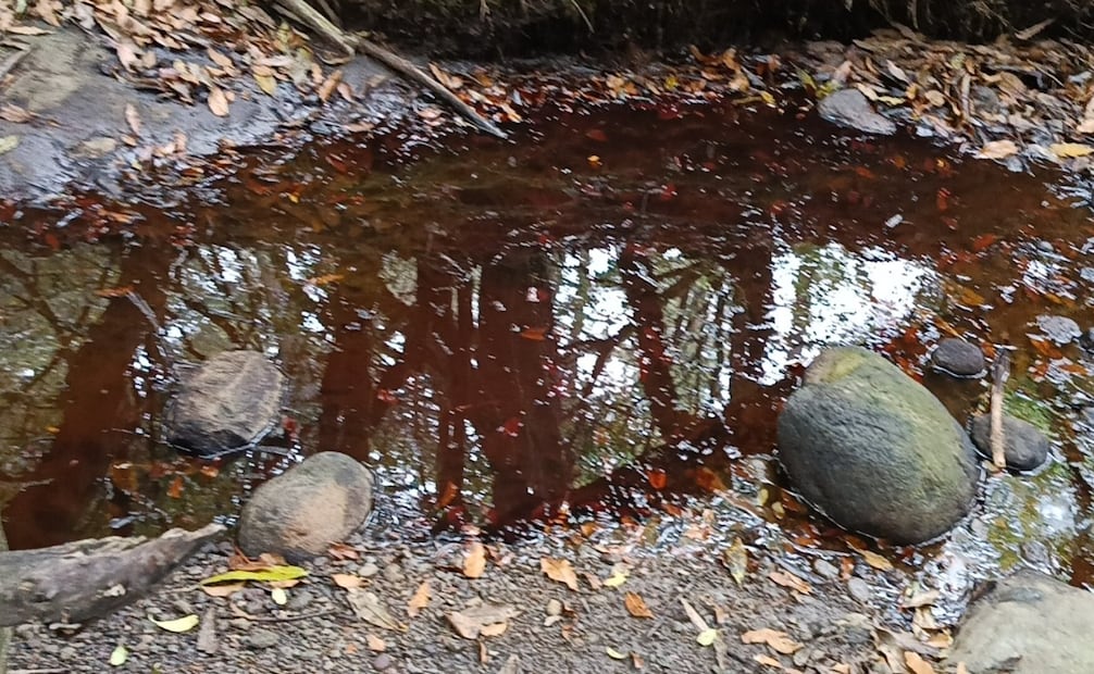 Las labores de limpieza incluyeron el purgado de la red hidráulica para eliminar residuos de hidrocarburo tras el accidente del 16 de abril. Foto Especial