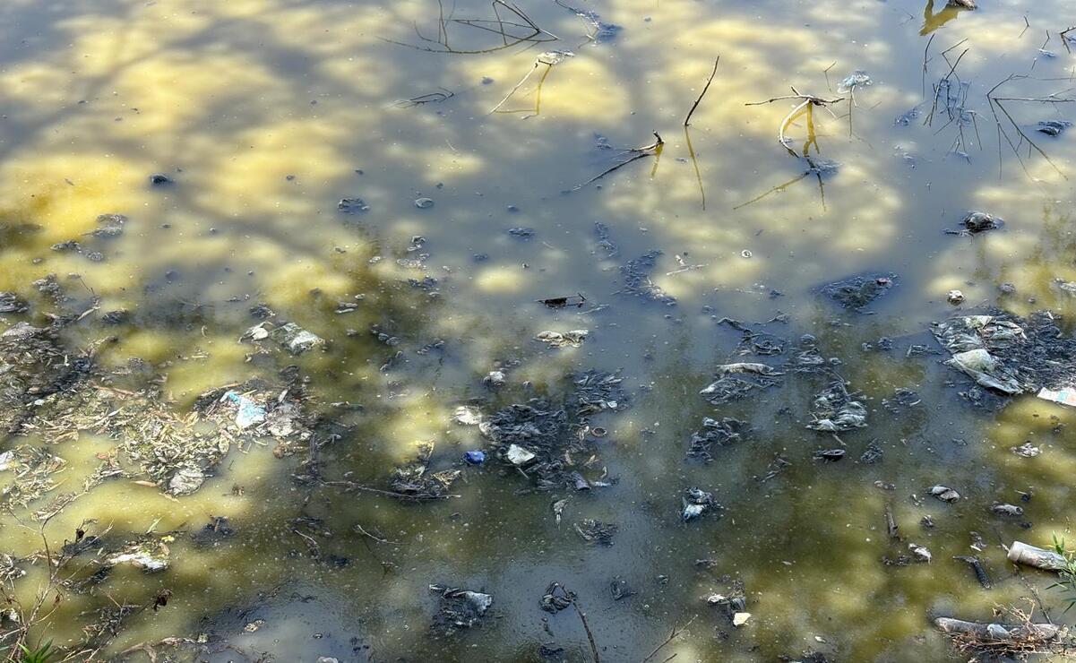 Se busca restaurar esta zona protegida mediante humedales artificiales y naturales / Foto Arturo Contreras