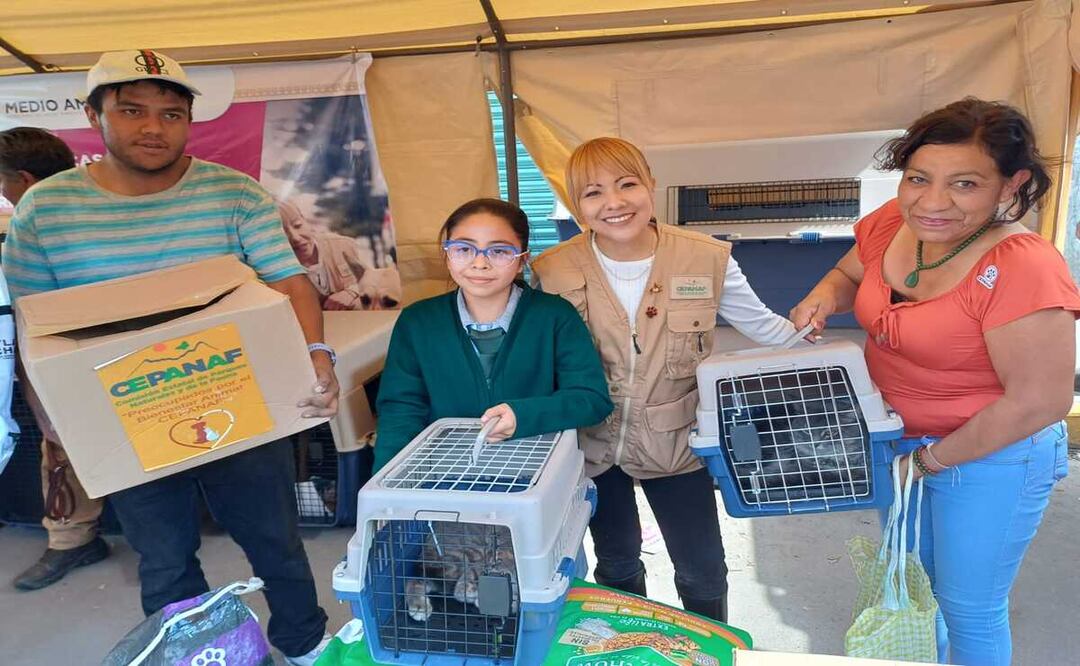 Se entregaron 32 perritos y gatitos con dueño responsable en Chalco. Foto: Especial.