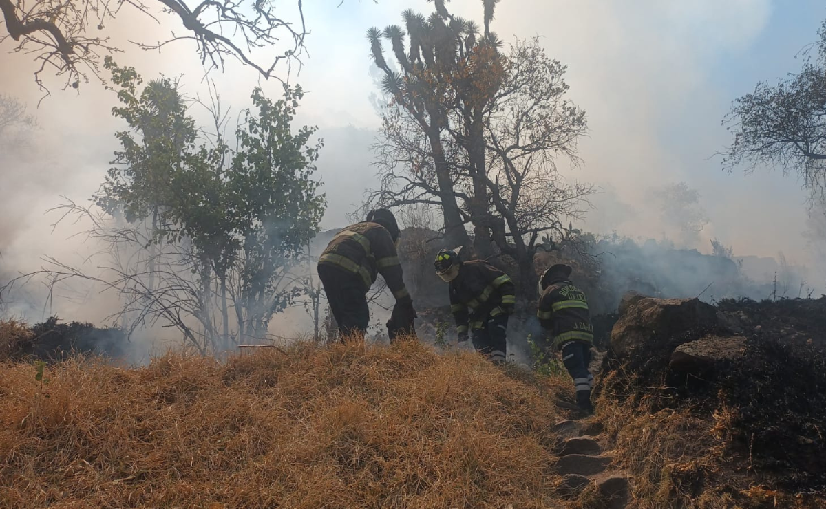 Elementos de Protección Civil y Bomberos controlaron las llamas en el cerro de Santiago Miltepec. Foto: Especial
