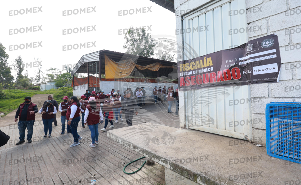 Pobladores de Tejupilco recibieron dos pollos / Foto Alejandro Vargas