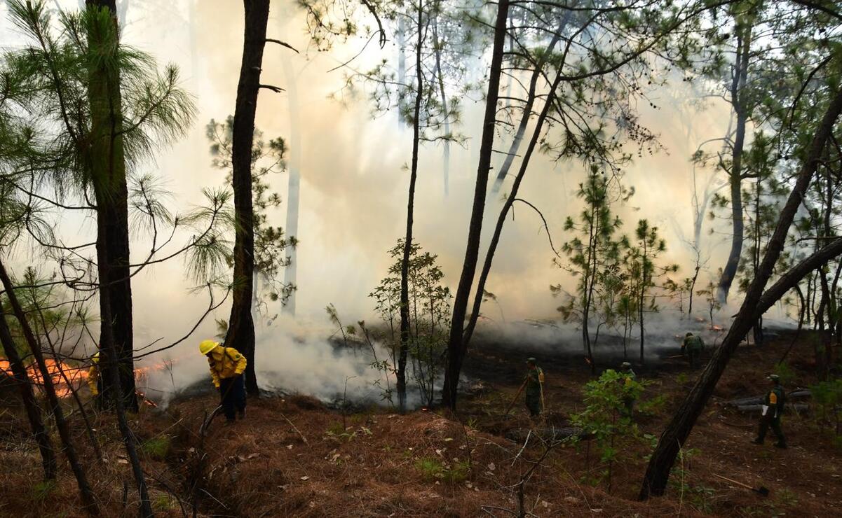 Las autoridades piden evitar encender fogatas y realizar la quema de parcelas / Foto Especial