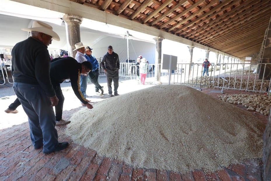 Una modalidad consiste en apoyo para mantenimiento y la reparación de maquinaria en zonas de temporal y de riego, hasta por un monto máximo de 50 mil pesos. Foto. Alejandro Vargas. El Universal
