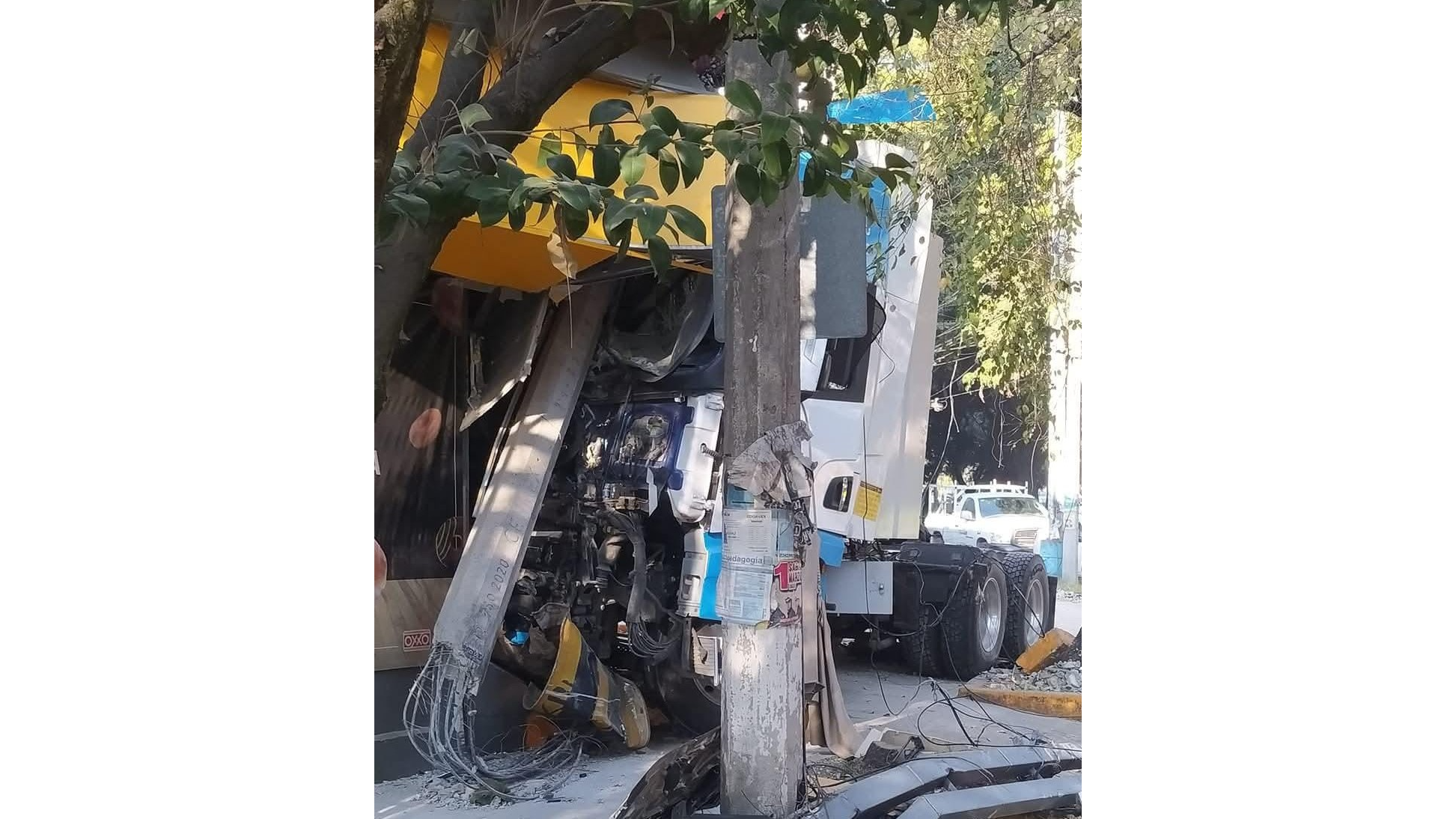 El tráiler se impacto contra árboles, un transformador y un Oxxo. Foto: Especial