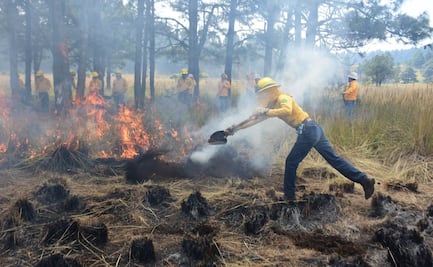 Registra Edomex 212 incendios forestales en 2026; teléfono rojo apoya al combate