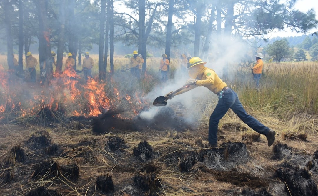 El Estado de México cuenta con brigadas para el combate de incendios forestales de Probosque, Conafor, Defensa, Conanp, la Cepanaf, así como elementos municipales, rurales y comunitarias. Foto. Especial