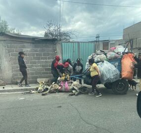 ¡Indignante! Caballo explotado hasta el colapso en Los Reyes La Paz