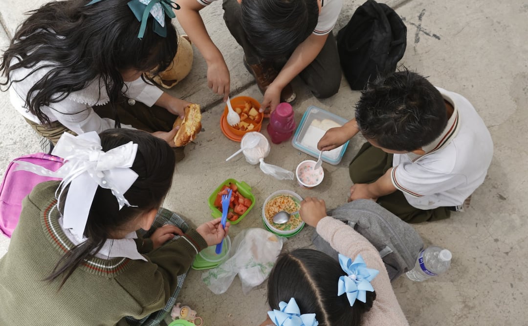 Madres de familia aplauden la nueva norma, pero solicitan apoyo para enfrentar el aumento en los costos de los 'lunch' saludables. Foto: Jorge Alvarado