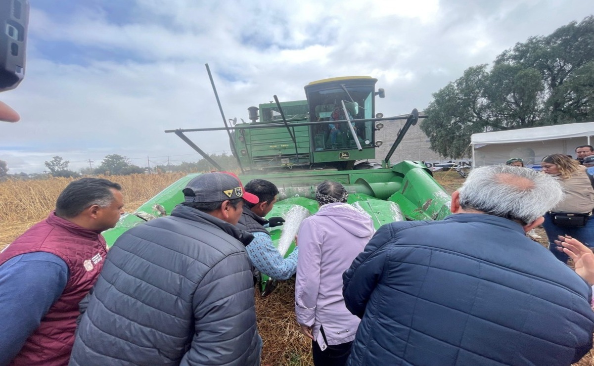 La convocatoria va dirigida a productores de pequeña escala  / Foto: Especial