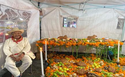 Toluca: Visita la exposición de ofrendas de Día de Muertos en la Plaza González Arratia