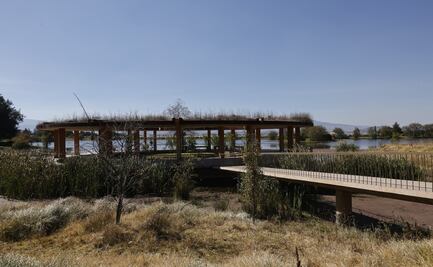 Abandonan Ajolotario del Parque Sierra Morelos, Toluca
