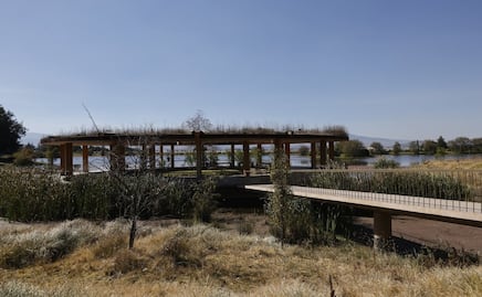 Abandonan Ajolotario del Parque Sierra Morelos, Toluca