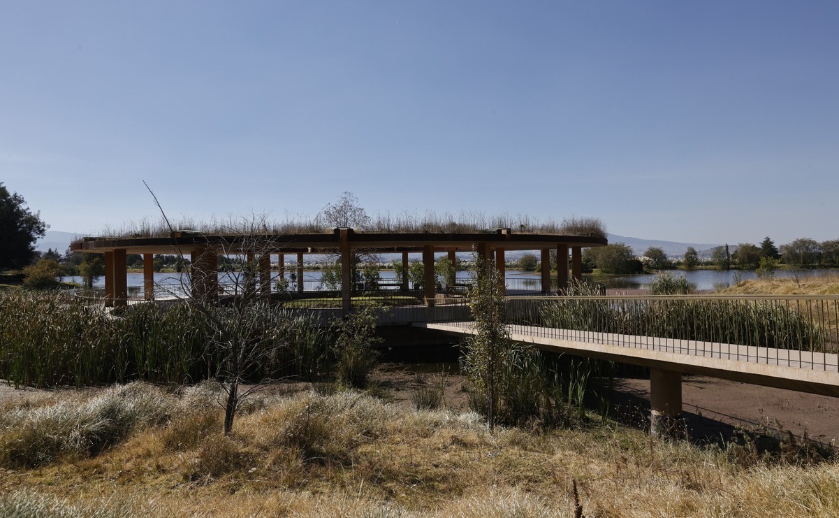 Luego de 16 meses de su inauguración, el Ajolotario ubicado en el Parque de la Ciencia Sierra Morelos será remodelado / Foto: Jorge Alvarado