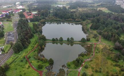 ¡Buenas noticias en Toluca! Se recuperan las lagunas del Parque Alameda 2000 