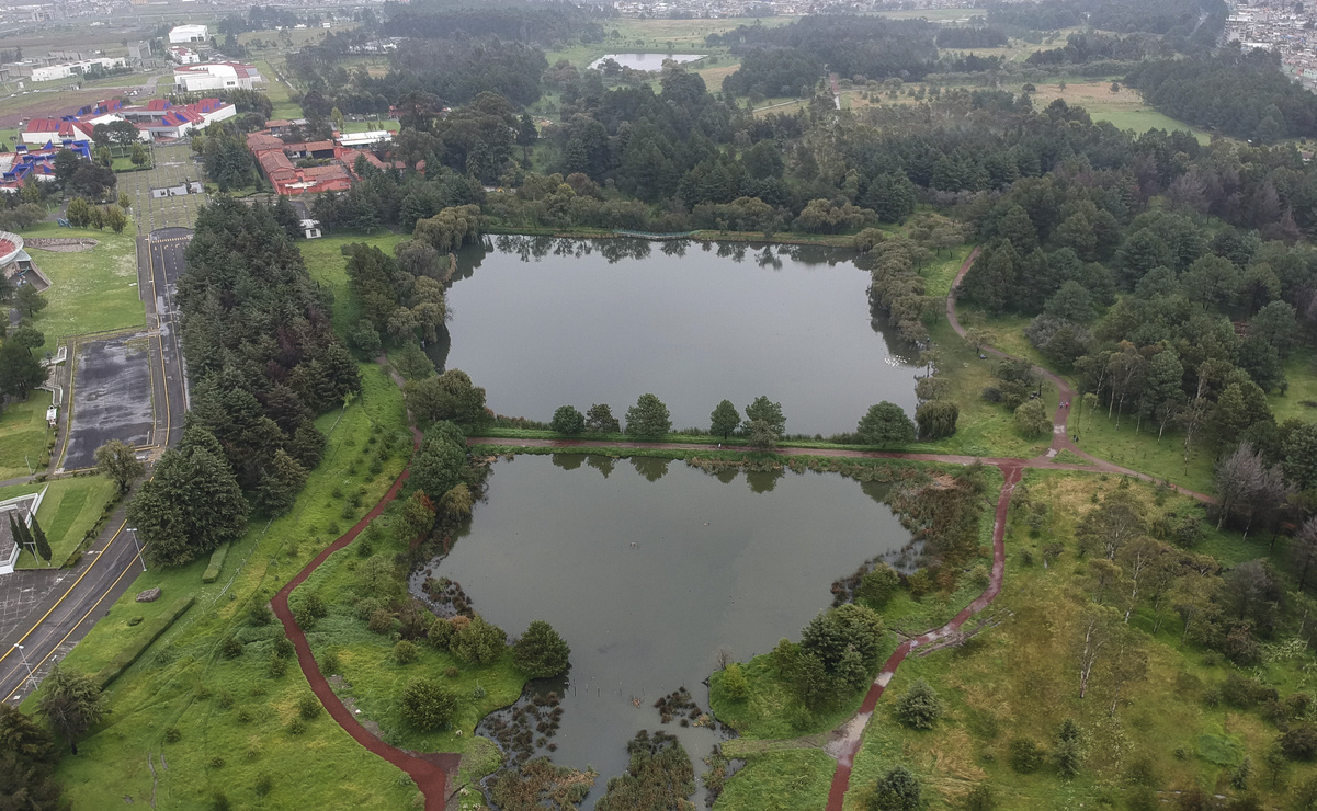 ¡Buenas noticias en Toluca! Se recuperan las lagunas del Parque Alameda 2000