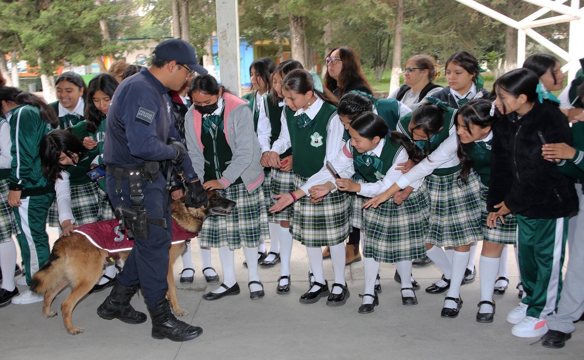 Este programa, dirigido a escuelas de nivel básico y medio superior / Foto Especial